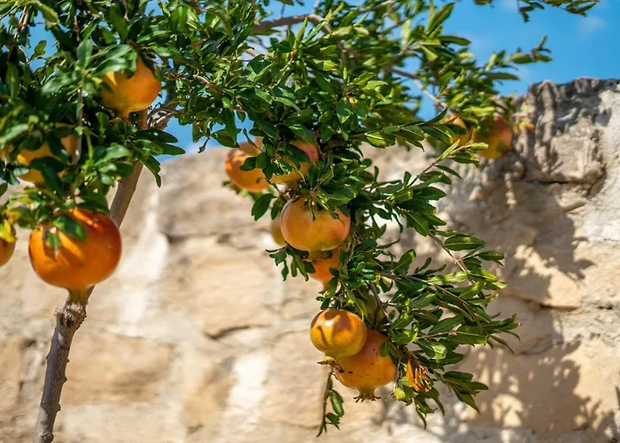 빌라 Dene Hollow *