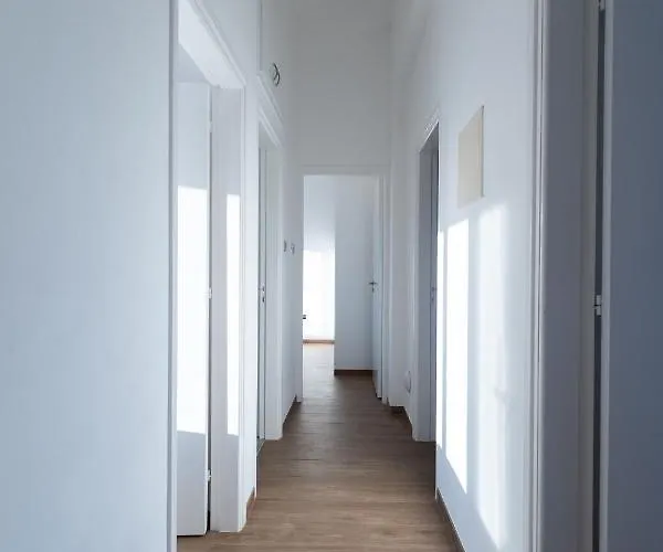 Dene Hollow * 보로클리니