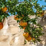 Villa Dene Hollow *