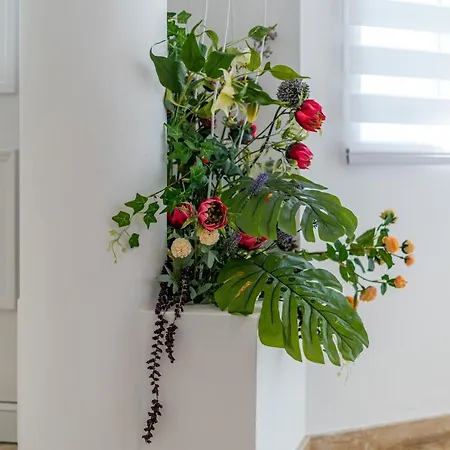 Βίλα Dene Hollow